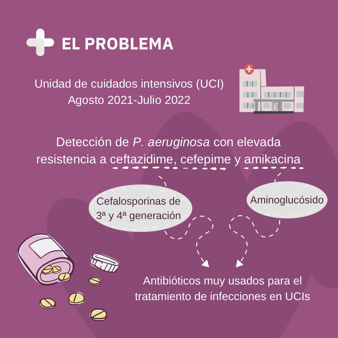 Laboratorio De Resistencia Antibiótica tweet media