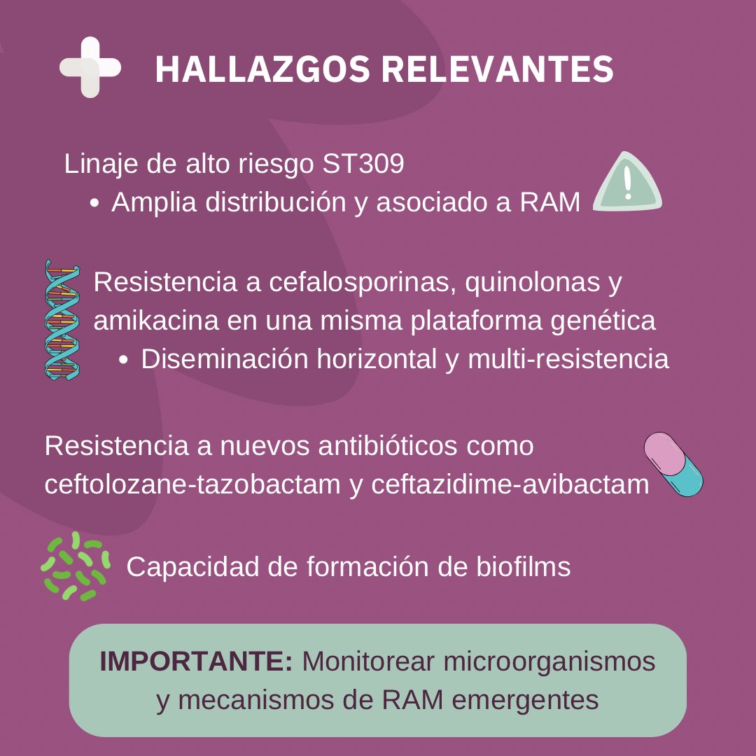 Laboratorio De Resistencia Antibiótica tweet media