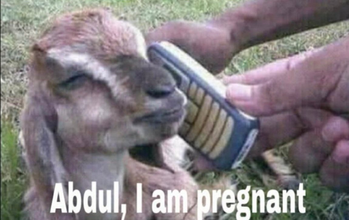Insane4Nation's tweet photo. @Case_Censored @adzzshn @Kanglu_EF @BHARATBHUMI001 @kanglusniper @DefenseDtb Goat Boy prends are #HalfCuts https://t.co/TpquhlR5IH