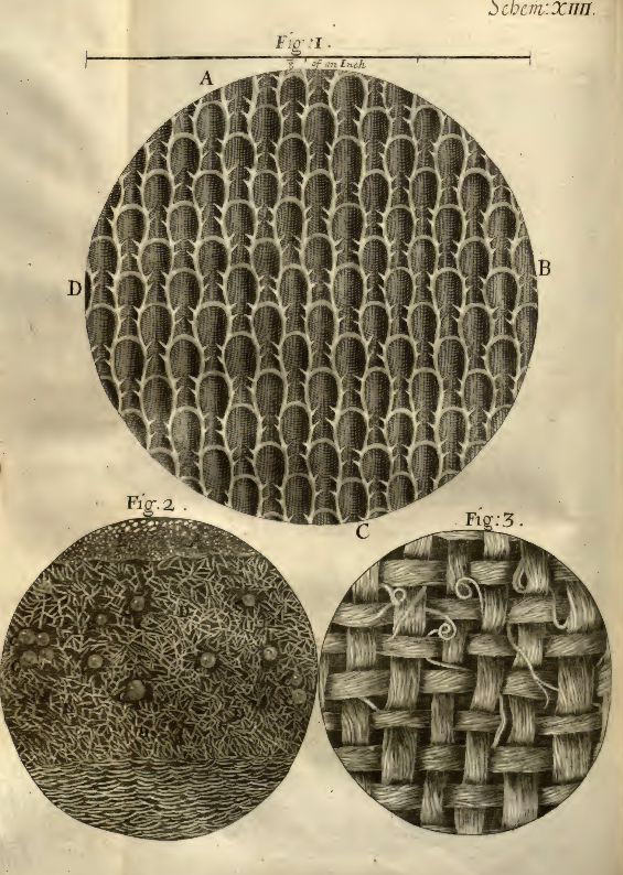 h_gerba's tweet photo. Bell Labs Record, February 1926.
 
"The Microscope as an Industrial Tool," bears a striking resemblance to Robert Hooke's 1665 "Micrographia," the first work to include illustrations based on microscopic observation, and the first major publication of the Royal Society. https://t.co/uvc5Hay5PP