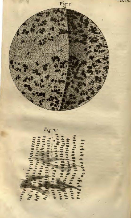 h_gerba's tweet photo. Bell Labs Record, February 1926.
 
"The Microscope as an Industrial Tool," bears a striking resemblance to Robert Hooke's 1665 "Micrographia," the first work to include illustrations based on microscopic observation, and the first major publication of the Royal Society. https://t.co/uvc5Hay5PP