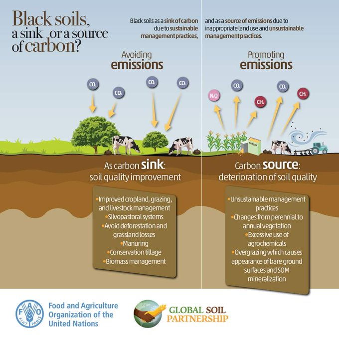 UNBiodiversity's tweet photo. #DYK about the duality that lies behind #BlackSoils❓

They can act as carbon sinks &amp; help to mitigate #ClimateChange OR as carbon emitters &amp; contribute to the problem. #SoilHealth #GlobalSoilPartnership 

📌 Read more in ➡ https://t.co/otSKAZoIWp

via @FAOLandWater https://t.co/lETL2lkrVt