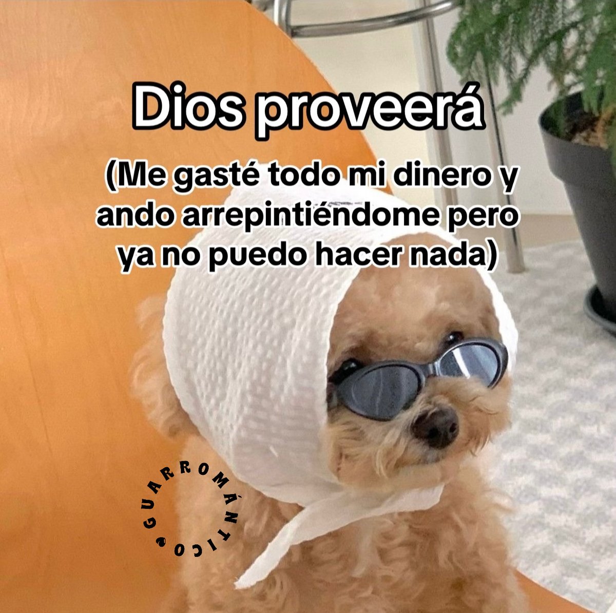 Dios proveerá!