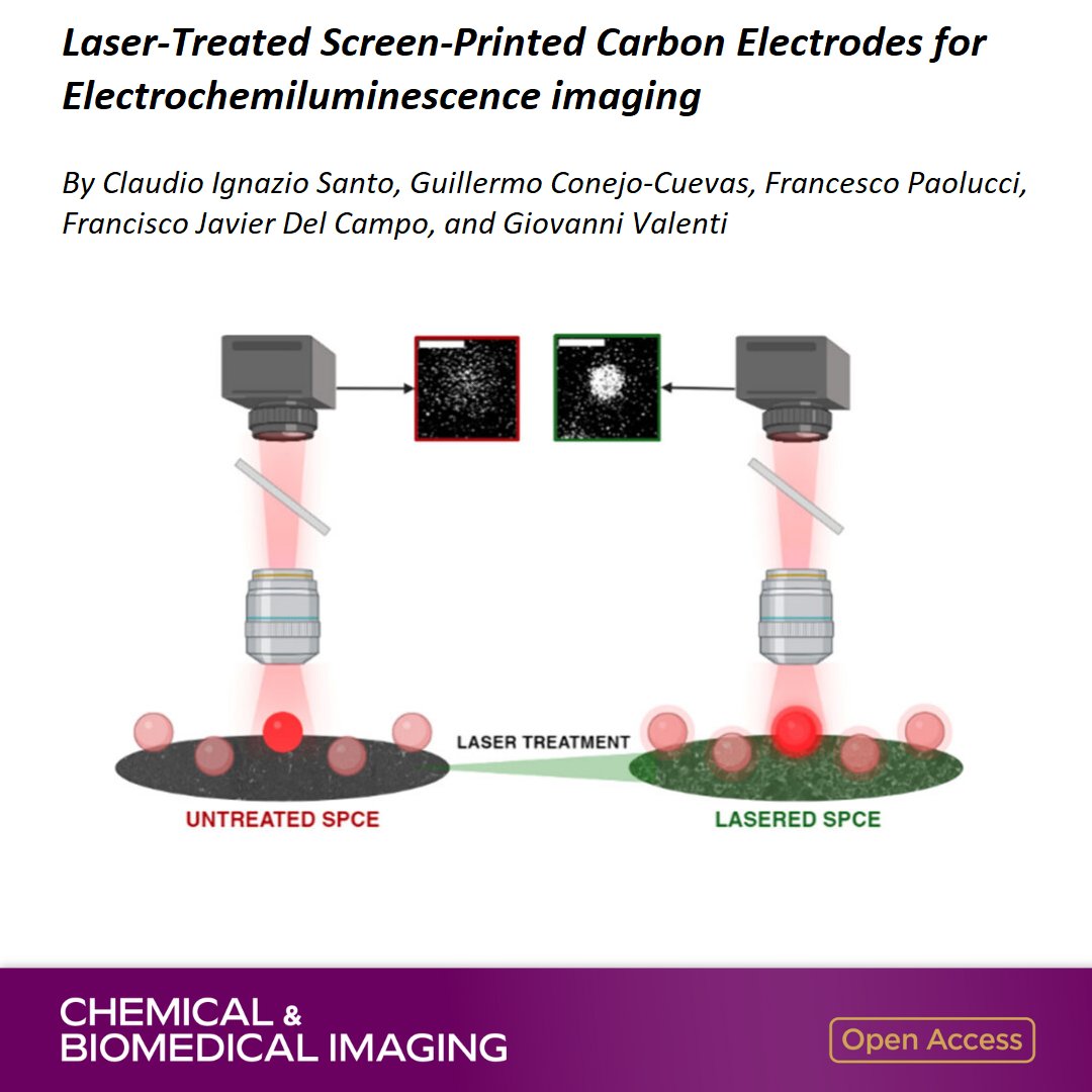 Laser-Treated Screen-Printed Carbon Electrodes for Electrochemiluminescence imaging

By Francisco Javier Del Campo, Giovanni Valenti et al <a href="/Gio_Research/">Giovanni Valenti</a> <a href="/Ciamician_unibo/">Dept. Chemistry Ciamician - University of Bologna</a> <a href="/Ikerbasque/">Ikerbasque</a>

Open access in Chemical &amp; Biomedical Imaging 👉 go.acs.org/bKi