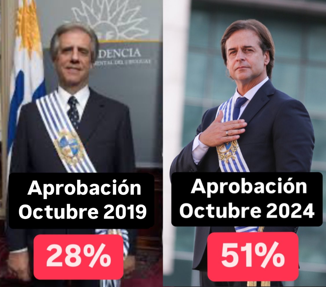 El Bagual bolso tweet media