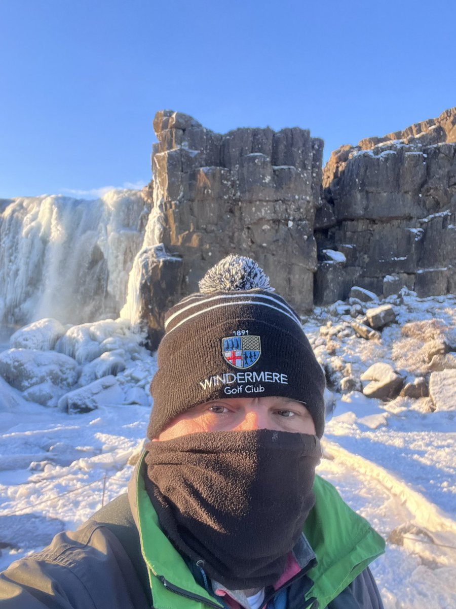 steve mal tweet media