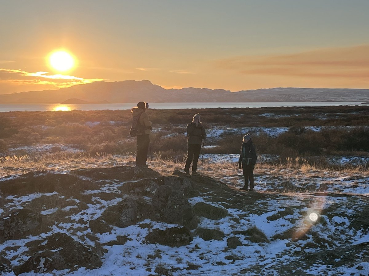 steve mal tweet media