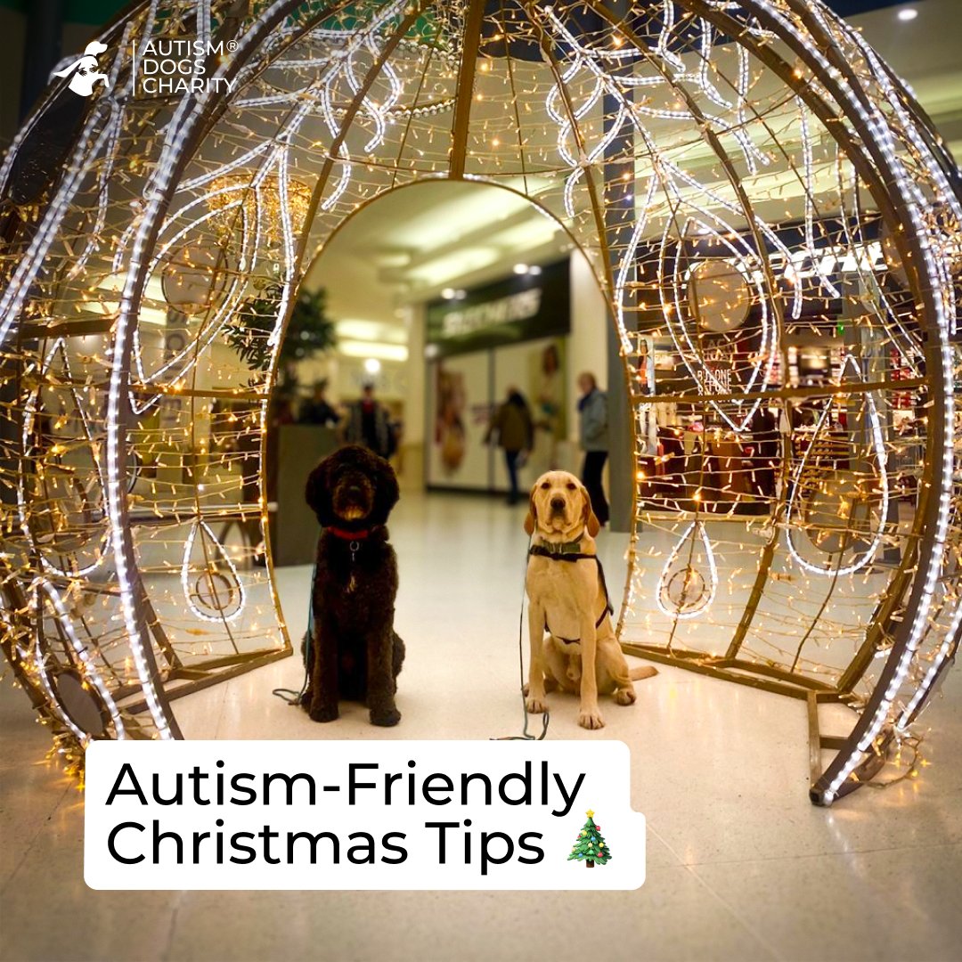 🎄 Autism-Friendly Christmas Tips ✨
Plan ahead, stick to routines, and create a calm space for breaks. Share gift preferences to avoid surprises, and celebrate in ways that feel good for you. There’s no one “right” way to enjoy the holidays! 💙#AutismChristmas #SensoryFriendly