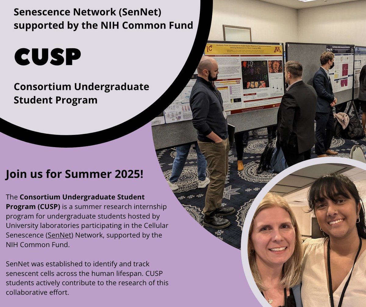 The 2025 Consortium Undergraduate Student Program (CUSP) is recruiting! Join us for summer internships focused on senescence study in a variety of research sites across the U.S. 

More info and application at: sennetconsortium.org/internship/