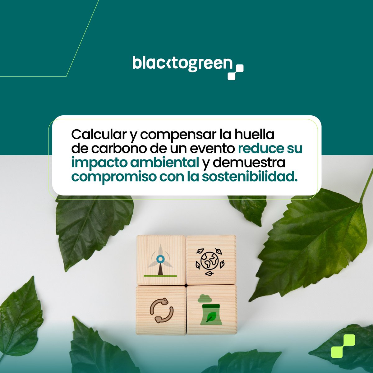 Calcular y compensar la huella de carbono de un evento no solo reduce su impacto ambiental, sino que también refleja un firme compromiso con la sostenibilidad y la responsabilidad ecológica.