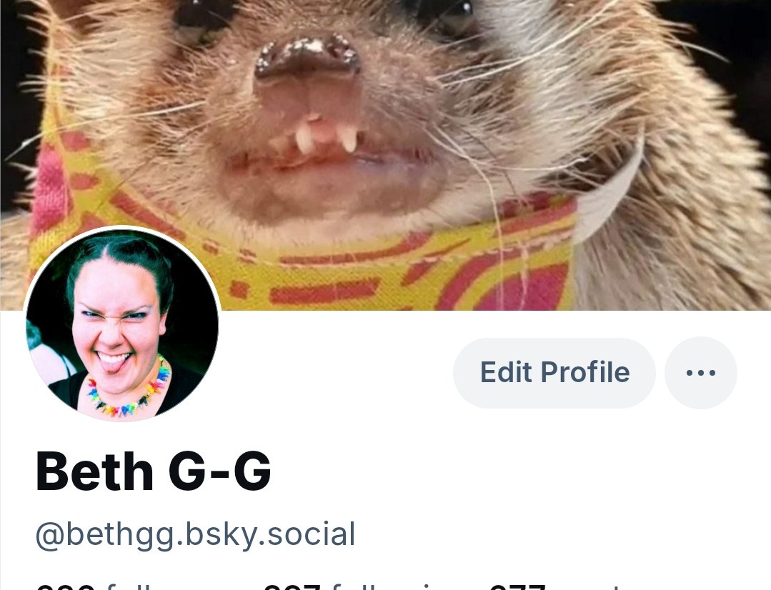 Beth G-G tweet media