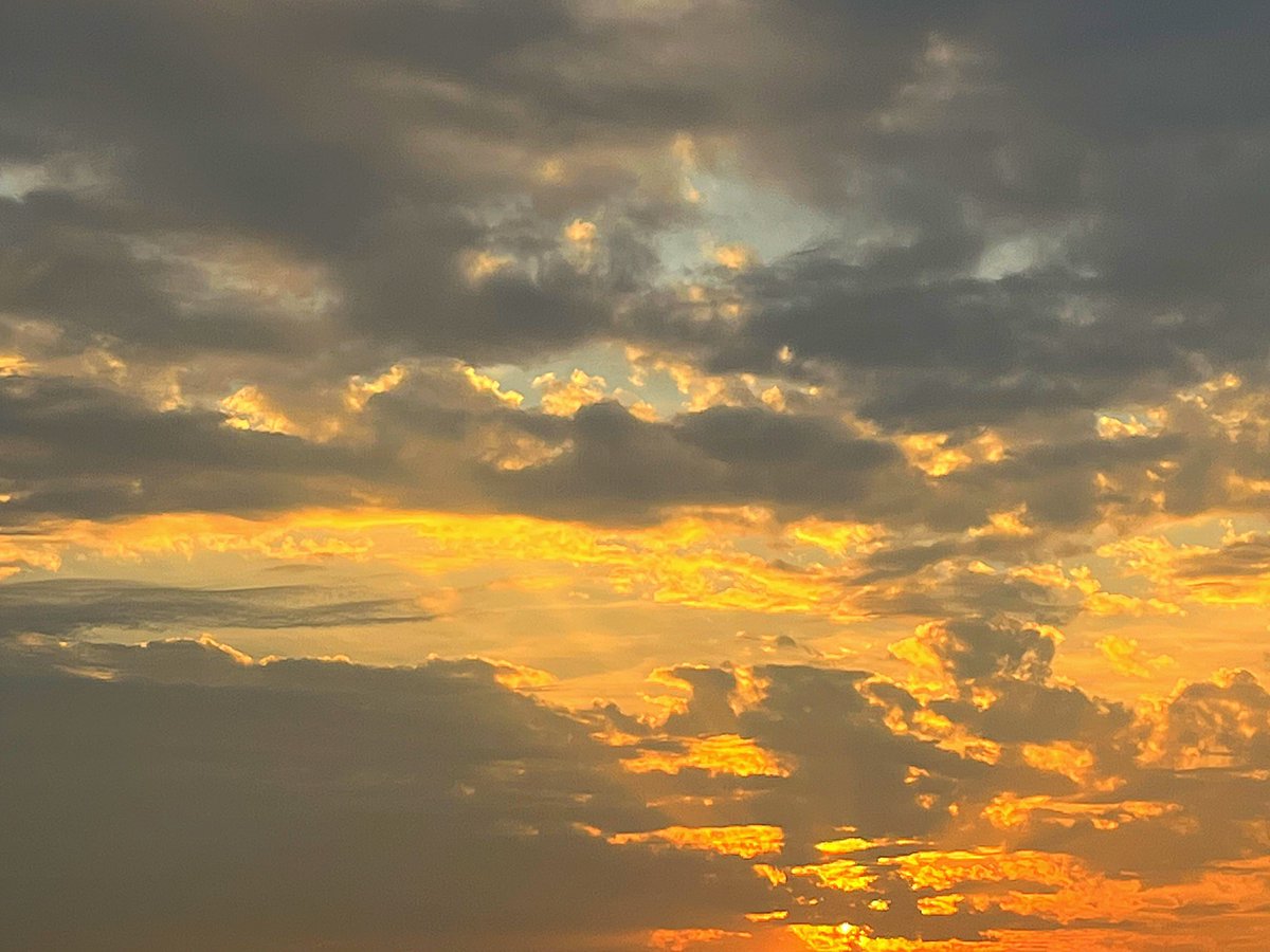 منَار tweet media