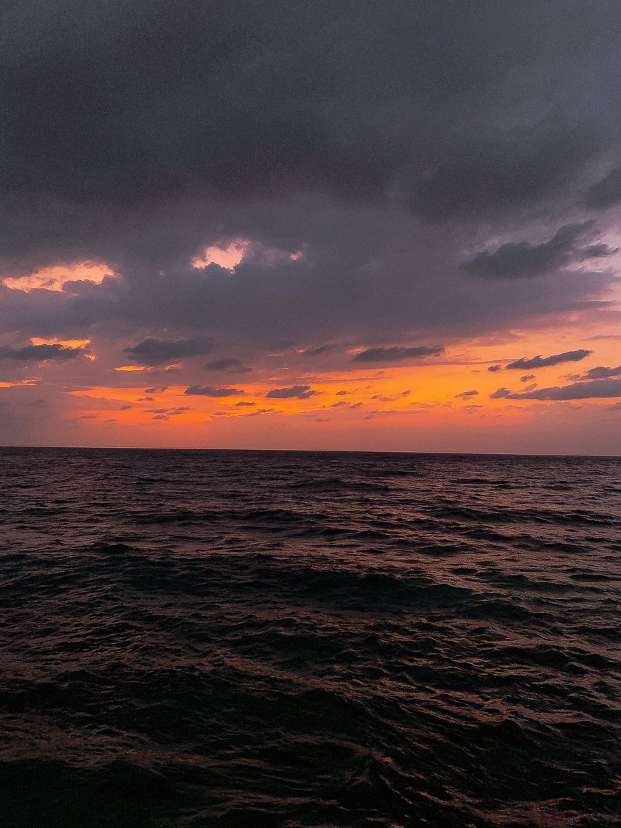 منَار tweet media