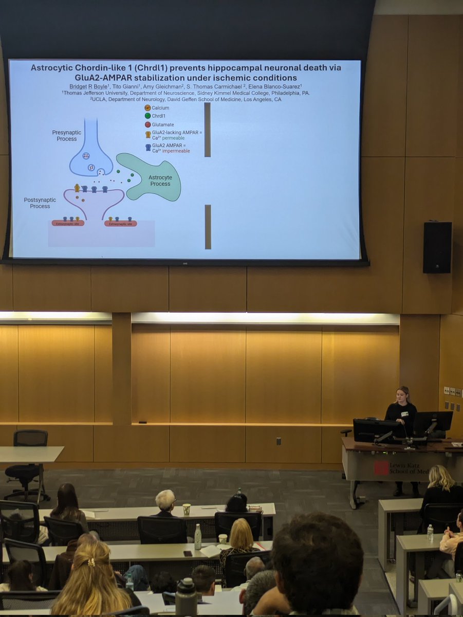 westboundsigned's tweet image. Far-away @BBOYLEingpoint and Andrea presenting their projects at Neural Sciences Research Day at @TempleUniv 🔥