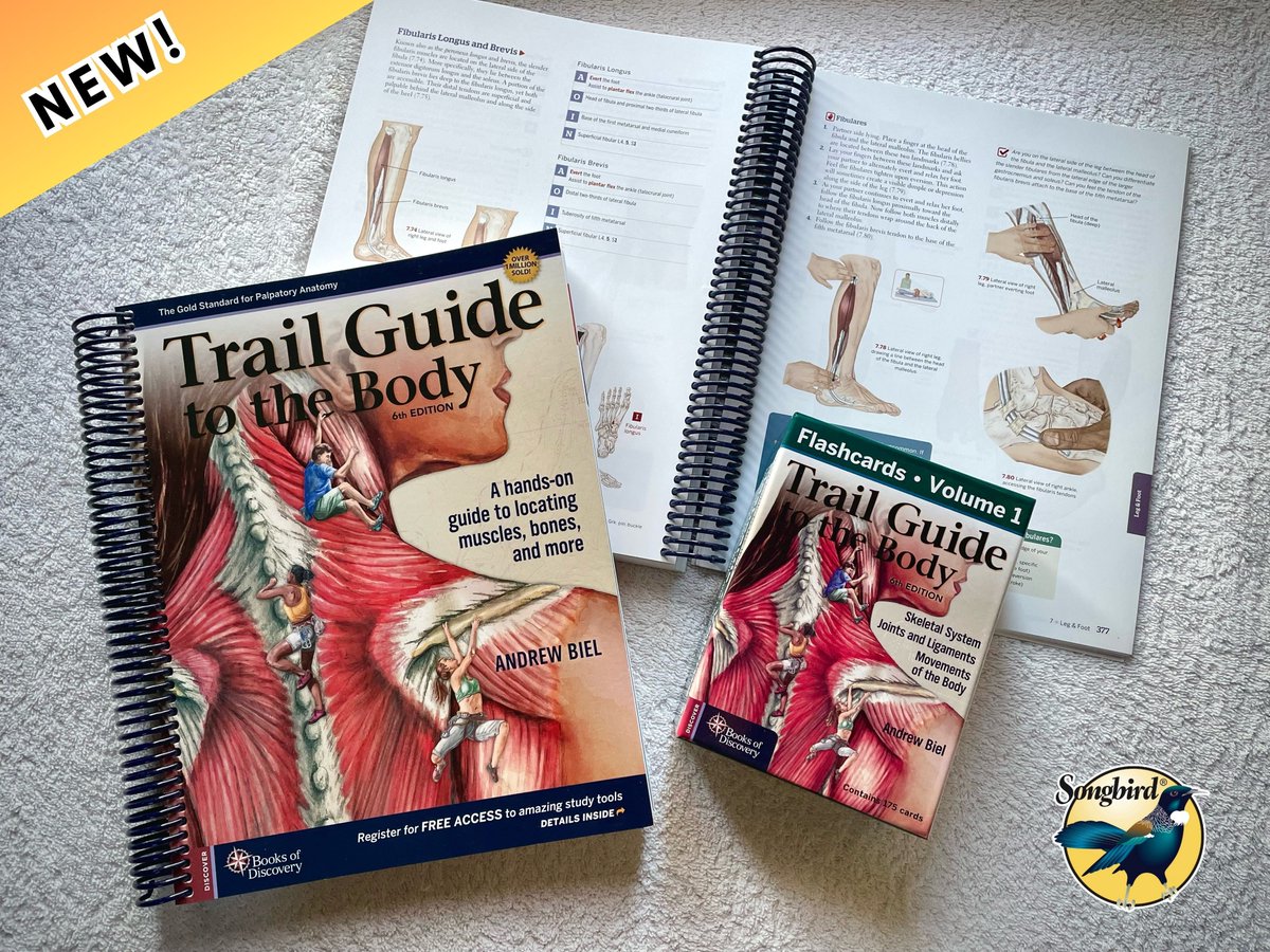 songbirdwax's tweet photo. Just arrived: Trail Guide to the Body, plus official Flash Cards and ‘Muscles of the Human Body’ posters.
Now available to purchase here: https://t.co/EJKvslqd3e 

As with all of our books, if you’ve got a Professional Account with us, you can enjoy 25% off all of these products! https://t.co/Jfmg2mCMjA