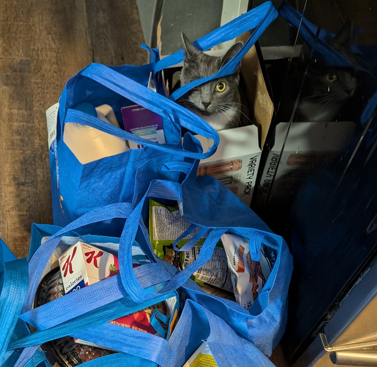 Ginger And Turnip tweet media