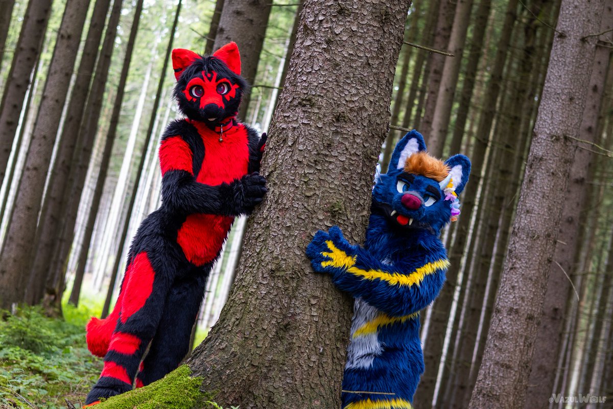 IcanFox (@icanfox) on Twitter photo Two canines wandering around a forest 🌲🌳
🦊🧵 <a href="/SilvenaHandmade/">Silvena Handmade</a>
🐺 <a href="/StejfS/">Štejf</a> 🧵 @vino_studios
📷 <a href="/VazulWolf/">Vazul 🔜 FurdanceBP</a>
#Fursuit #FursuitFriday #fox #cesfur #furry #furryfandom #wolf #drolf #forest Two canines wandering around a forest 🌲🌳
🦊🧵 <a href="/SilvenaHandmade/">Silvena Handmade</a>
🐺 <a href="/StejfS/">Štejf</a> 🧵 @vino_studios
📷 <a href="/VazulWolf/">Vazul 🔜 FurdanceBP</a>
#Fursuit #FursuitFriday #fox #cesfur #furry #furryfandom #wolf #drolf #forest