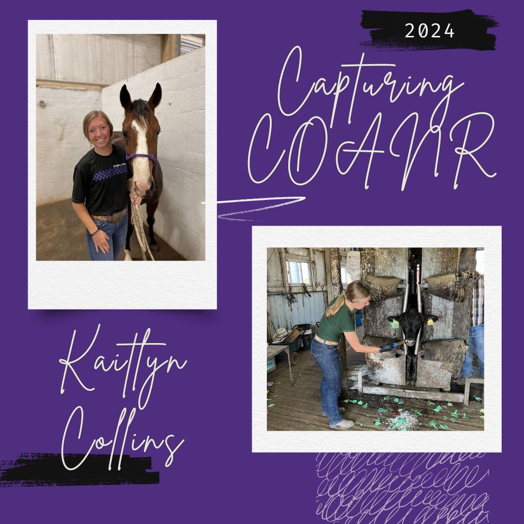 "I chose Tarleton because I felt called by God. Growing up in agriculture sparked my passion for advocating for this vital industry. Tarleton has prepared me through hands-on learning, networking, and meaningful connections."

Kaitlyn Collins
Junior Animal Science major