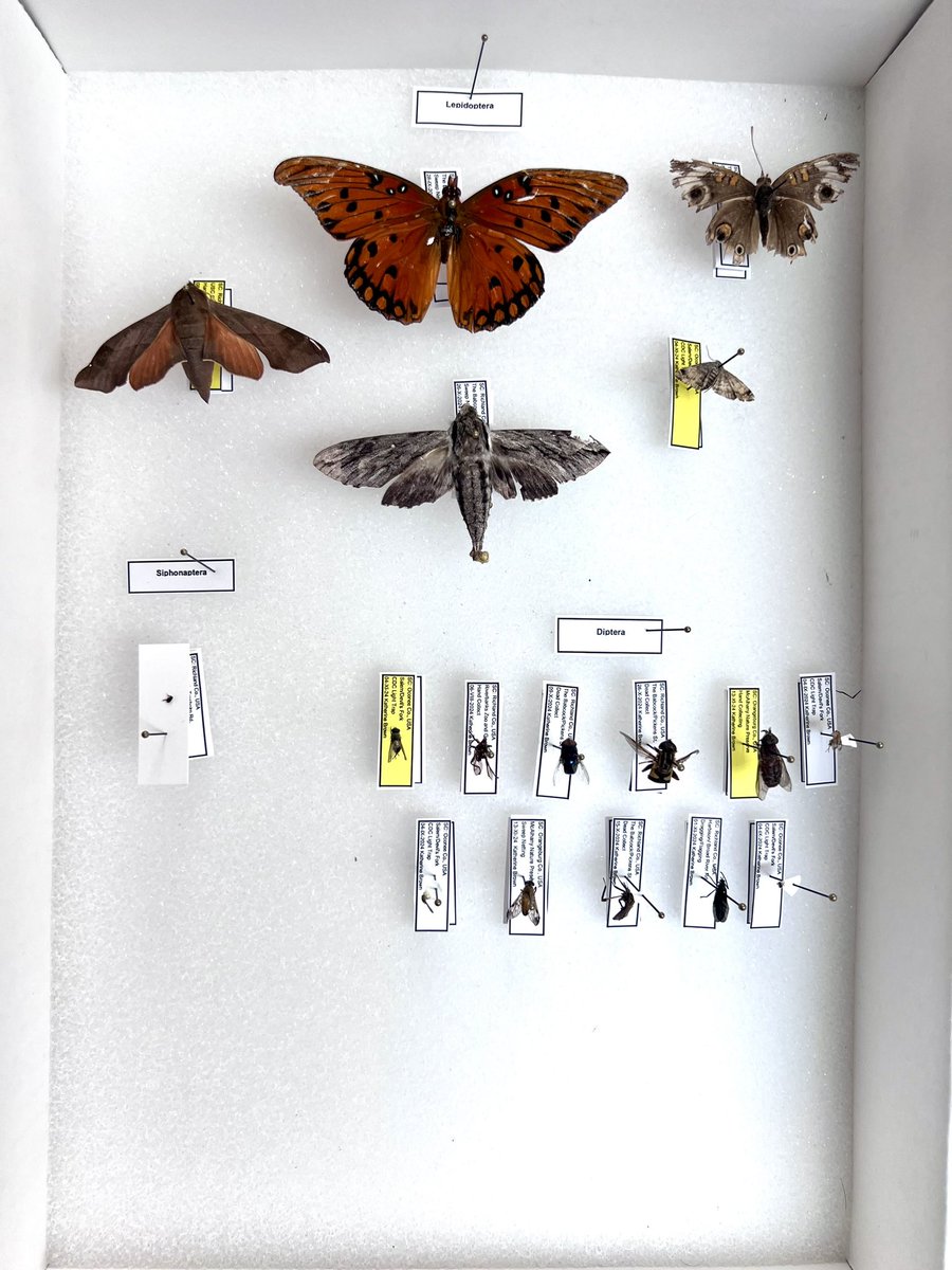 Katherine Brown, MPH tweet media