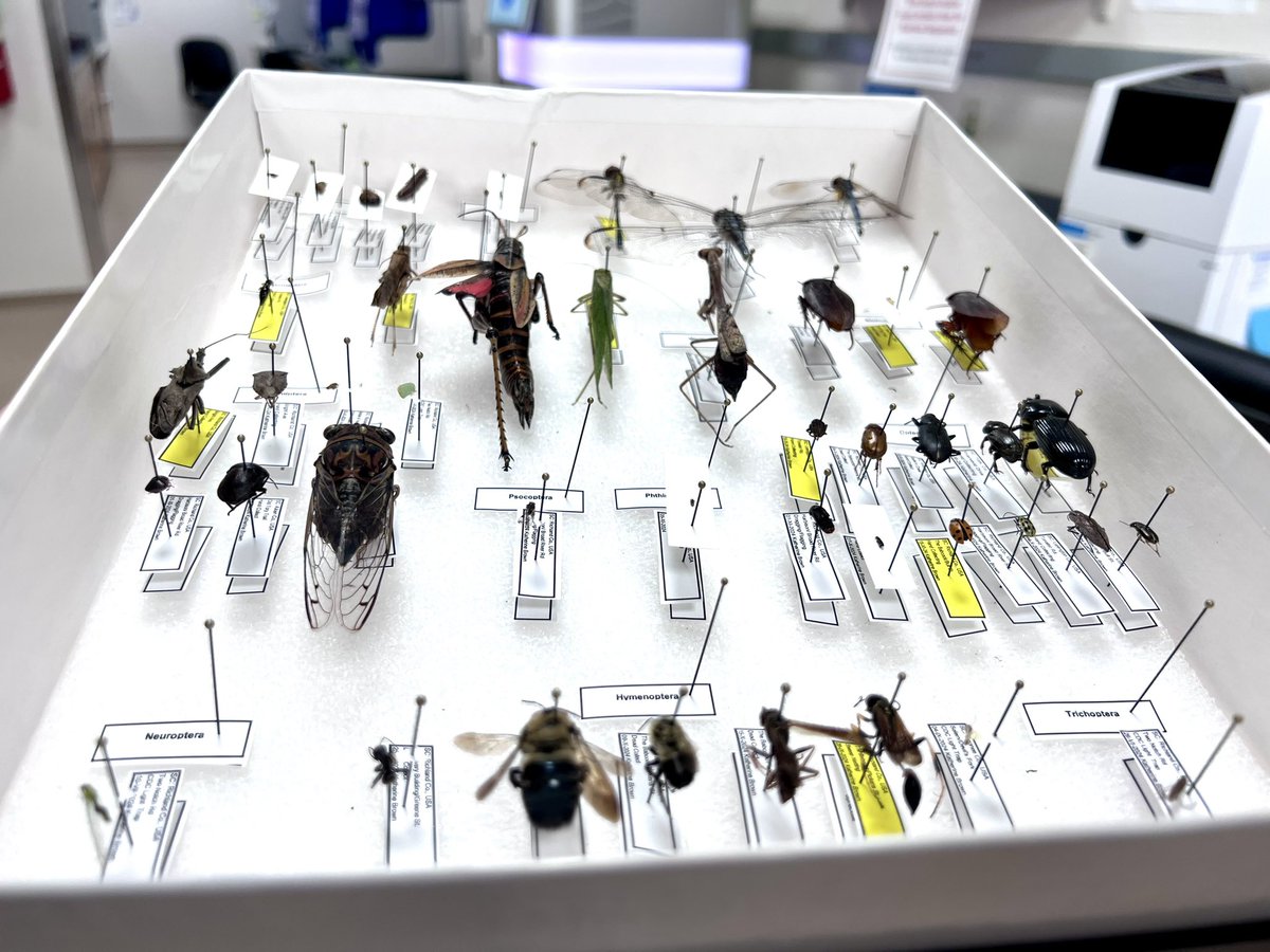 Katherine Brown, MPH tweet media