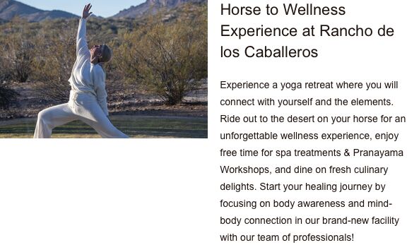 At Clairvoyix, we appreciate the winter wonderland experienced by so many of our client properties.
But who can resist the sunny skies and warmer temperatures of Arizona at Rancho de los Caballeros? 

Check out the email deployment here: cc.clairvoyix.com/broadcast/clai…