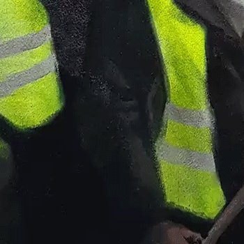 pascalboyartbot's tweet image. Fresco 04 - #067/100 &quot;Liberty leading the people 2019&quot; #PascalBoyart

opensea.io/assets/ethereu…