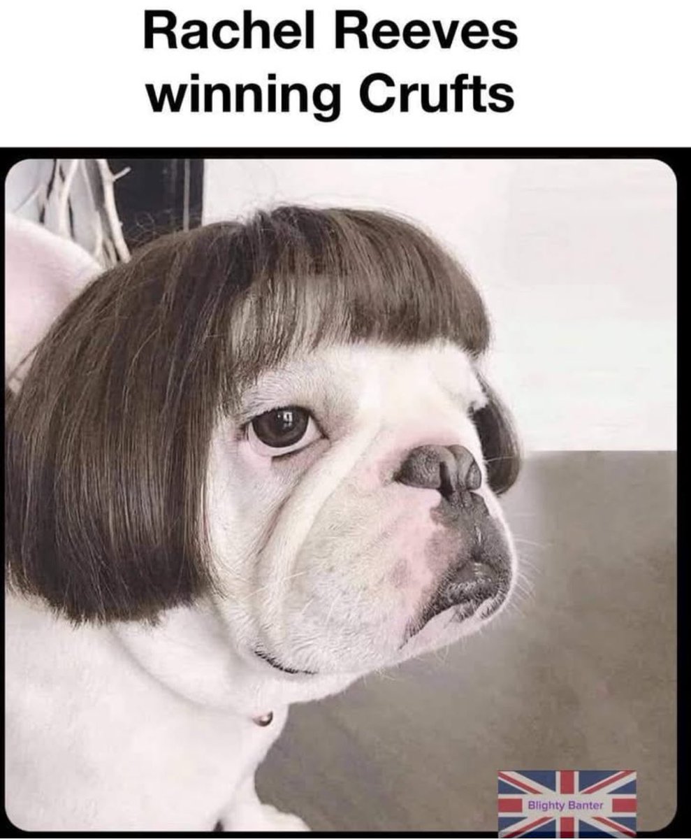 Grant Bliss tweet media