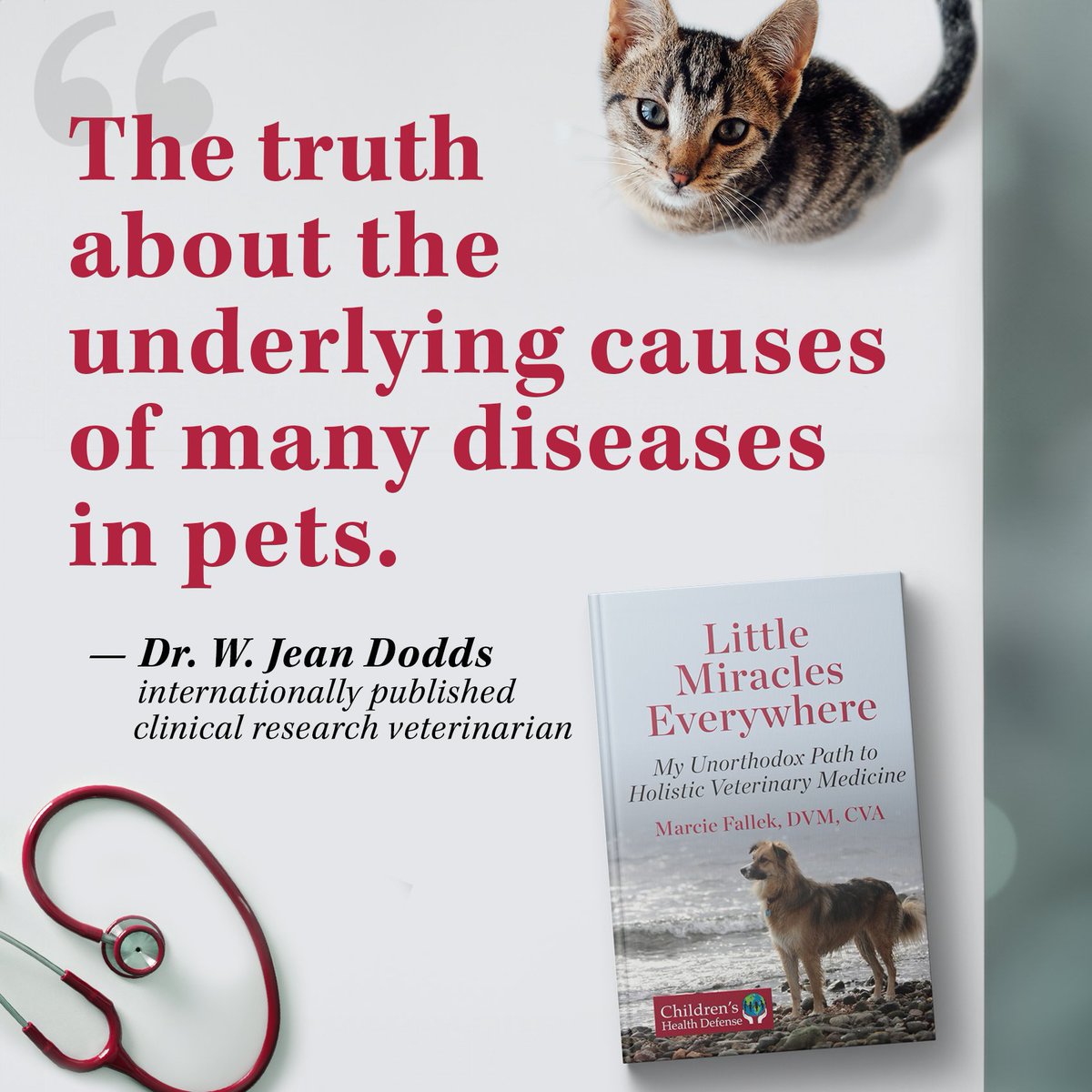 ChildrensHD's tweet photo. Pet vaccine injuries happens too ... do you know what you're giving your pet when you vaccinate?

Have questions for a Holistic Veterinarian? 

We have some answers. ⬇️ https://t.co/fOV1c28BNp https://t.co/8FlheygcZ0