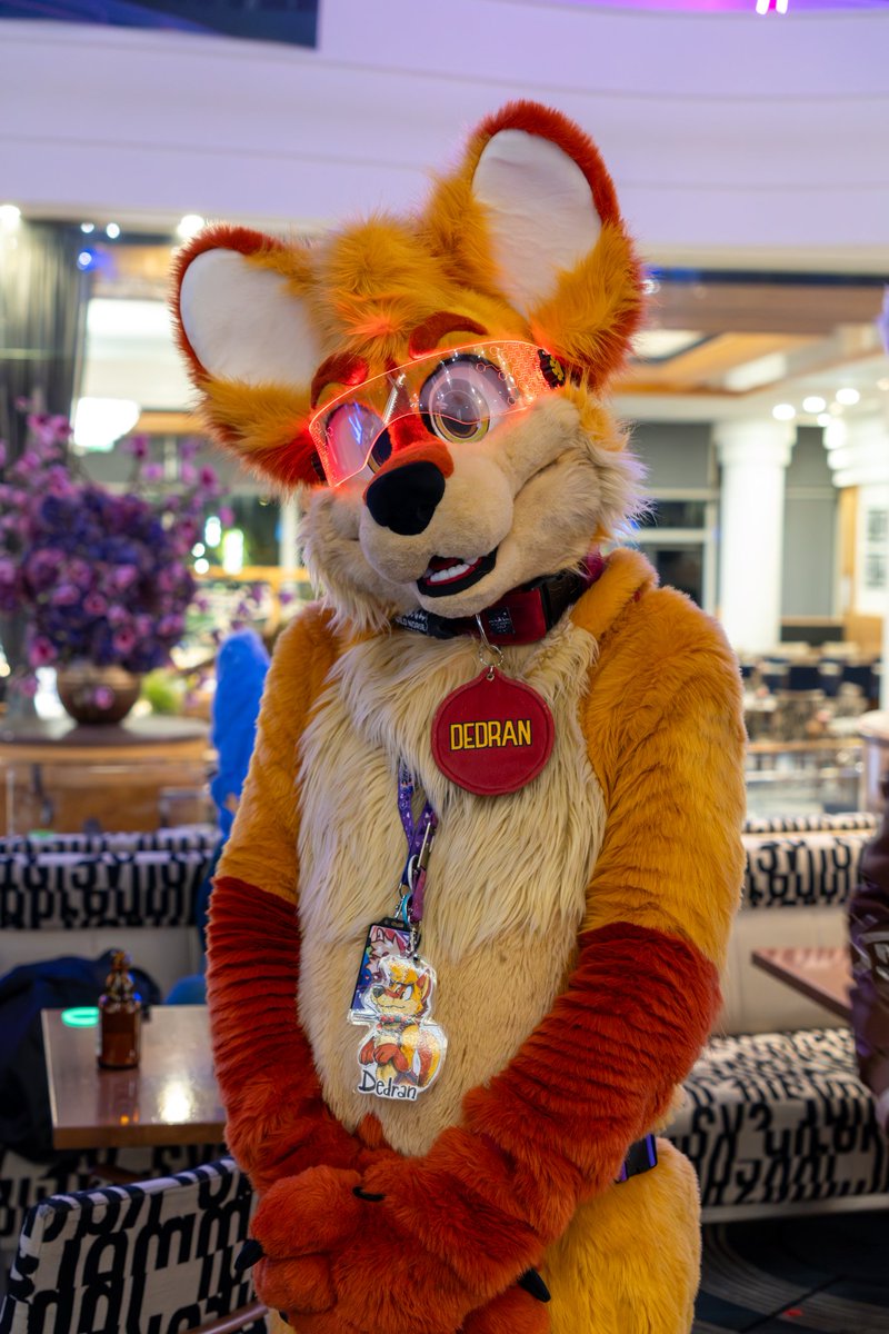 More pics from FBL

📷: jojos38
🪡: <a href="/wildnorsewolf/">Norsewolf • 北欧狼</a> 

#FursuitFriday