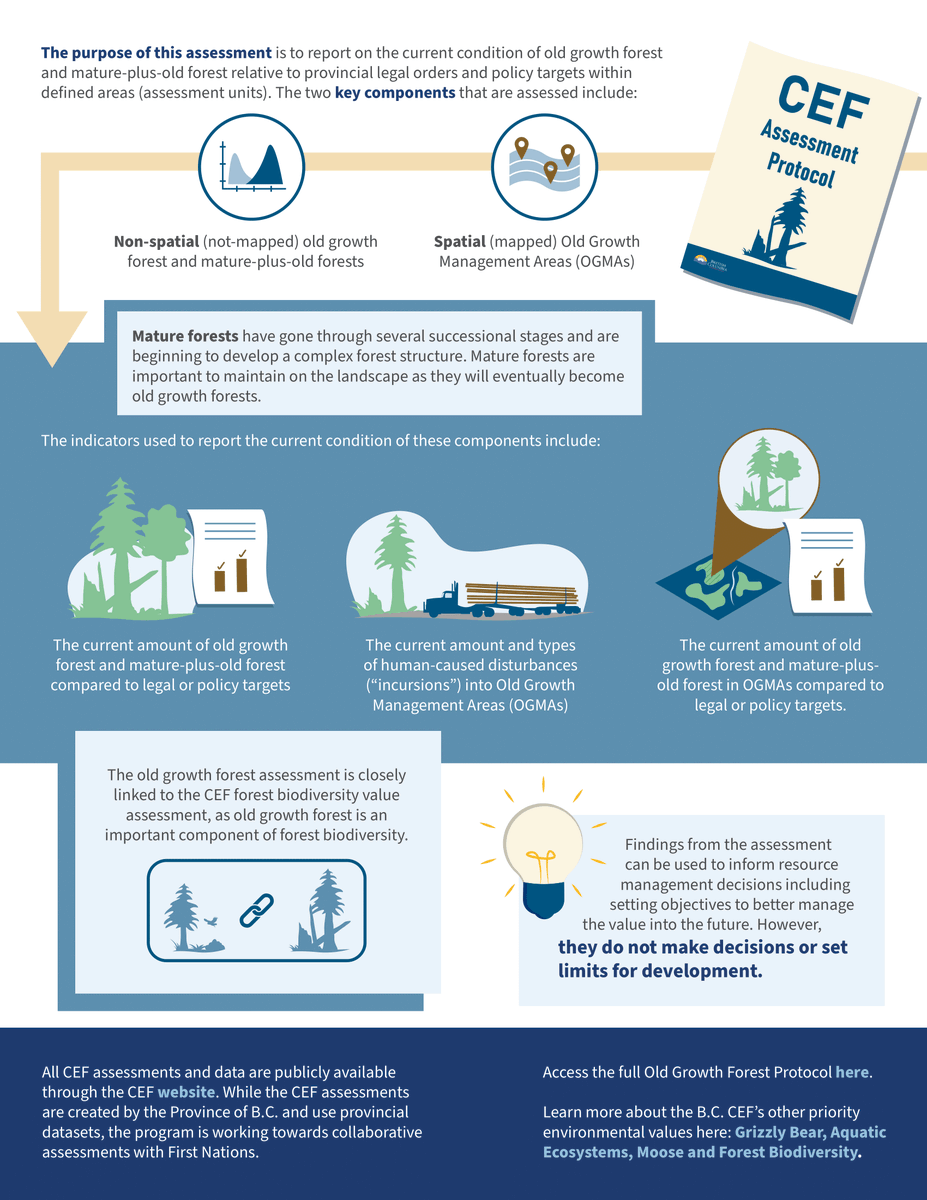 Fuse Consulting Ltd. tweet media