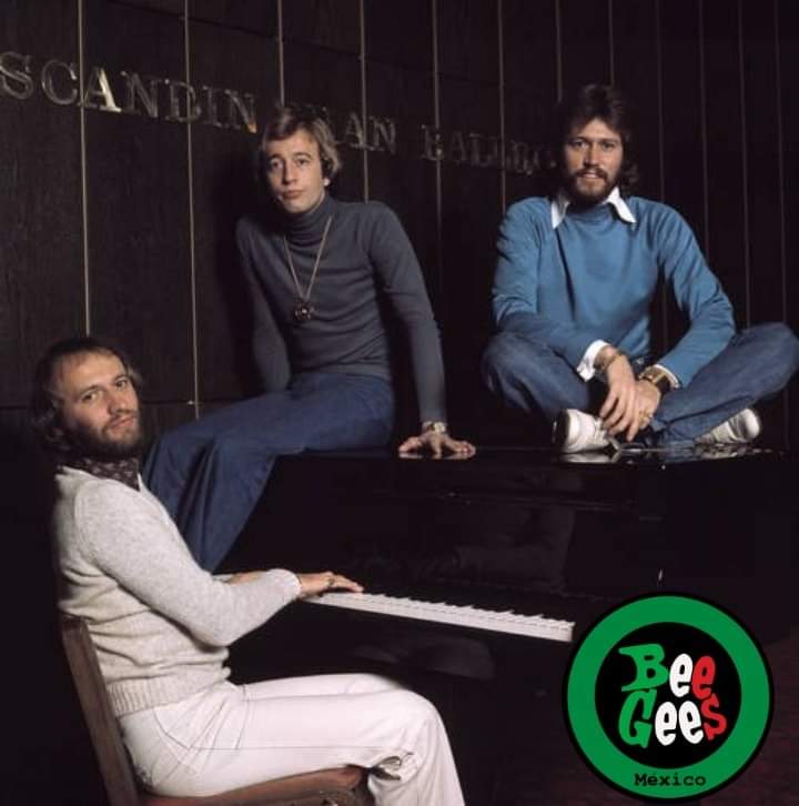 BeeGeesMexico's tweet photo. Feliz #DíaDelMúsico
Compositores, productores, editores, intérpretes, arreglistas y sobre todo músicos.
En este día, un reconocimiento a los más grandes de la historia, los Bee Gees.
Fotografía: Jorgen Angel. https://t.co/fa6kJNE5wd
