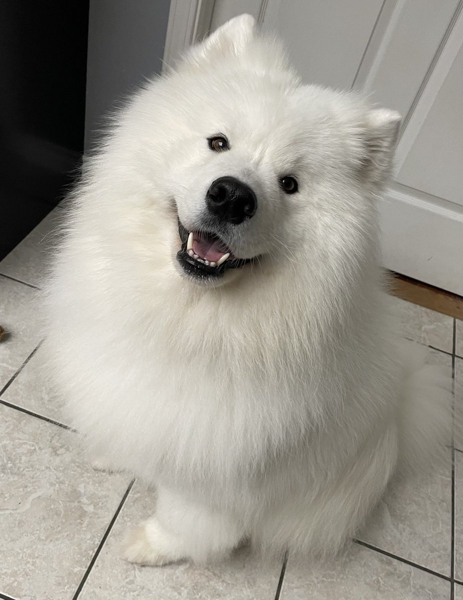 wayneradiotv tweet media