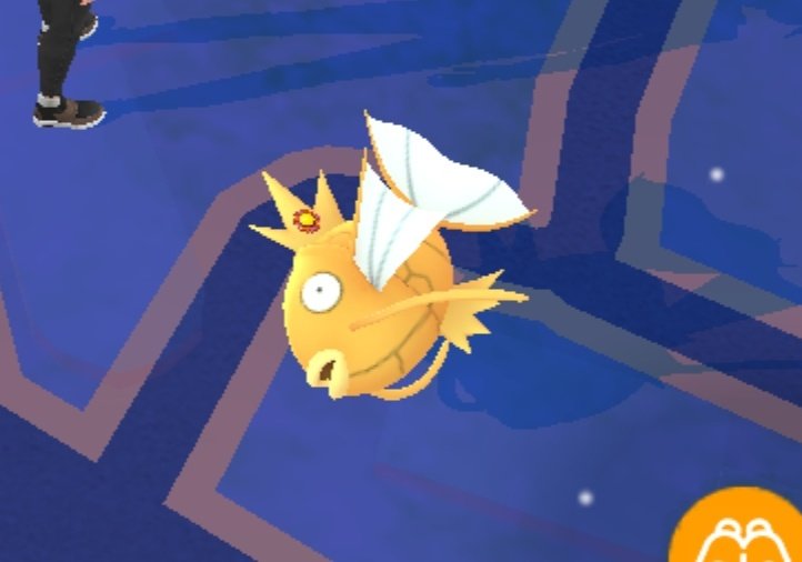 PokeGoScotland's tweet photo. Only my second best buddy!!

#PokemonGO #shinypokemon #Bestbuddy https://t.co/AlzPUFu9Vv