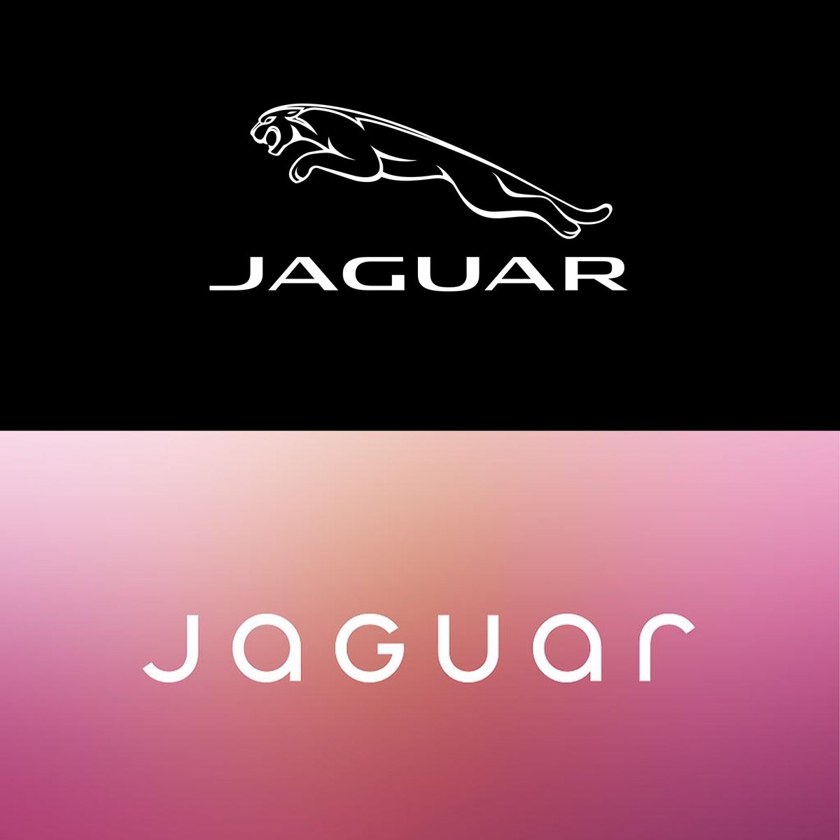 Majestic Solutions tweet media