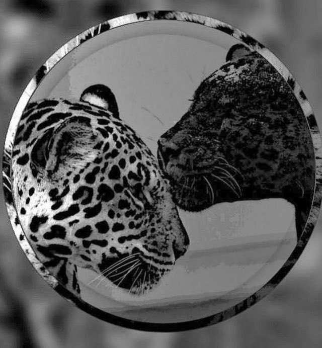 . (@redlightfairy) on Twitter photo 