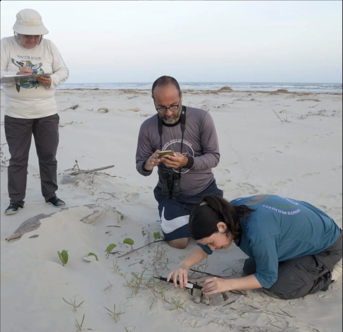 NEWS: tiny % of charity income goes to causes - CEOs paid 6 figures. 
Not all charities the same! WQ entirely voluntary. 100% of donations fund projects. We need your support; charity is 1st go in hard times. 
Please support us if you can.
facebook.com/WaderQuest/pos…