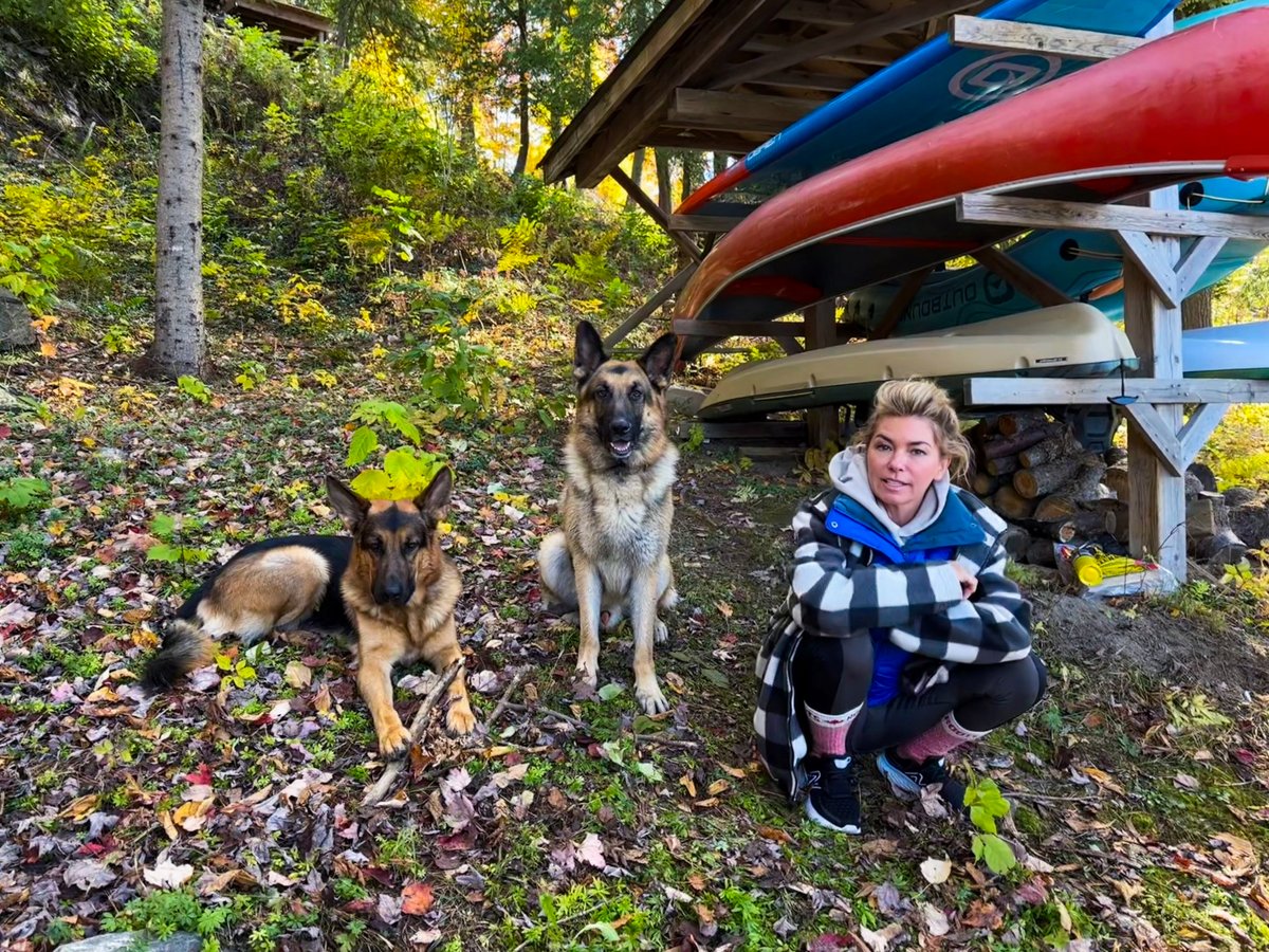ShaniaTwain's tweet image. Some downtime with the dogs ❤️🐾