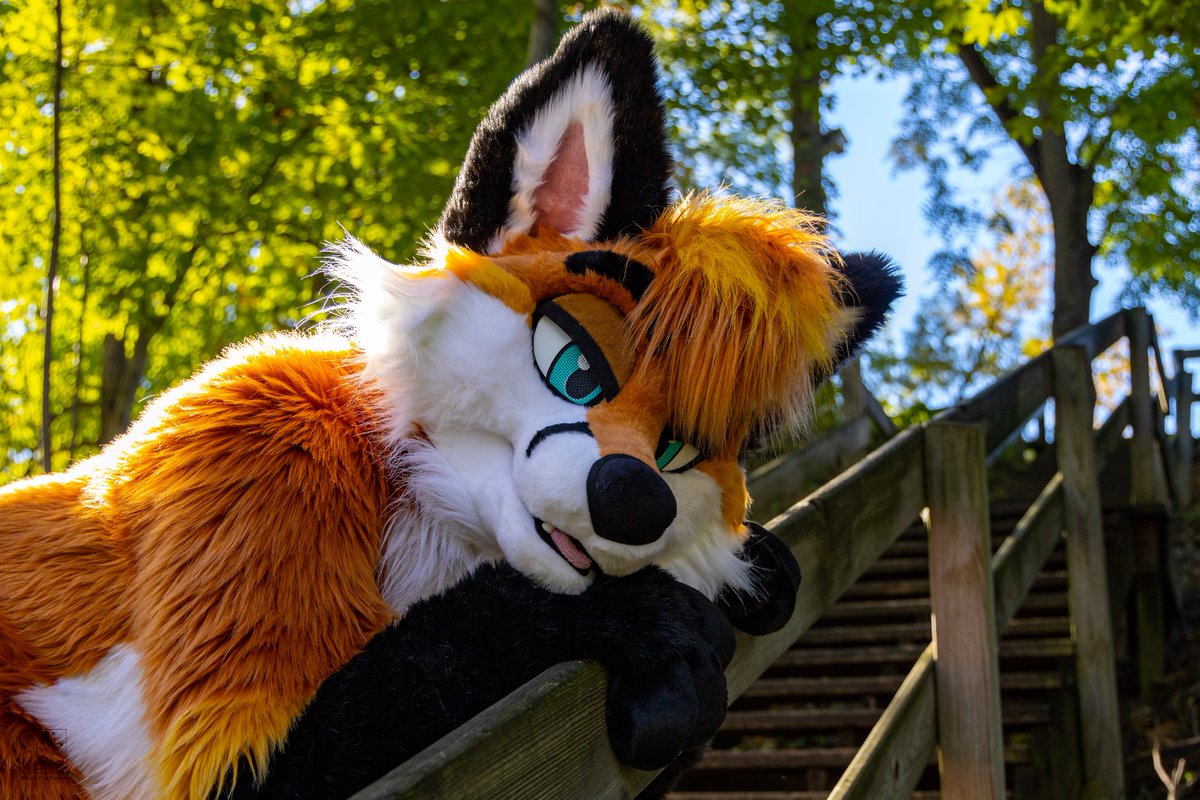 GinkoTheFox (@acefirethewolf) on Twitter photo Whatcha thinkin about?
πΈ β¦<a href="/LavenderFoxxo/">πͺ»π Lavender Fox ππͺ»π Megaplex WPAFW?</a>β©
#furry #fursuit Whatcha thinkin about?
πΈ β¦<a href="/LavenderFoxxo/">πͺ»π Lavender Fox ππͺ»π Megaplex WPAFW?</a>β©
#furry #fursuit