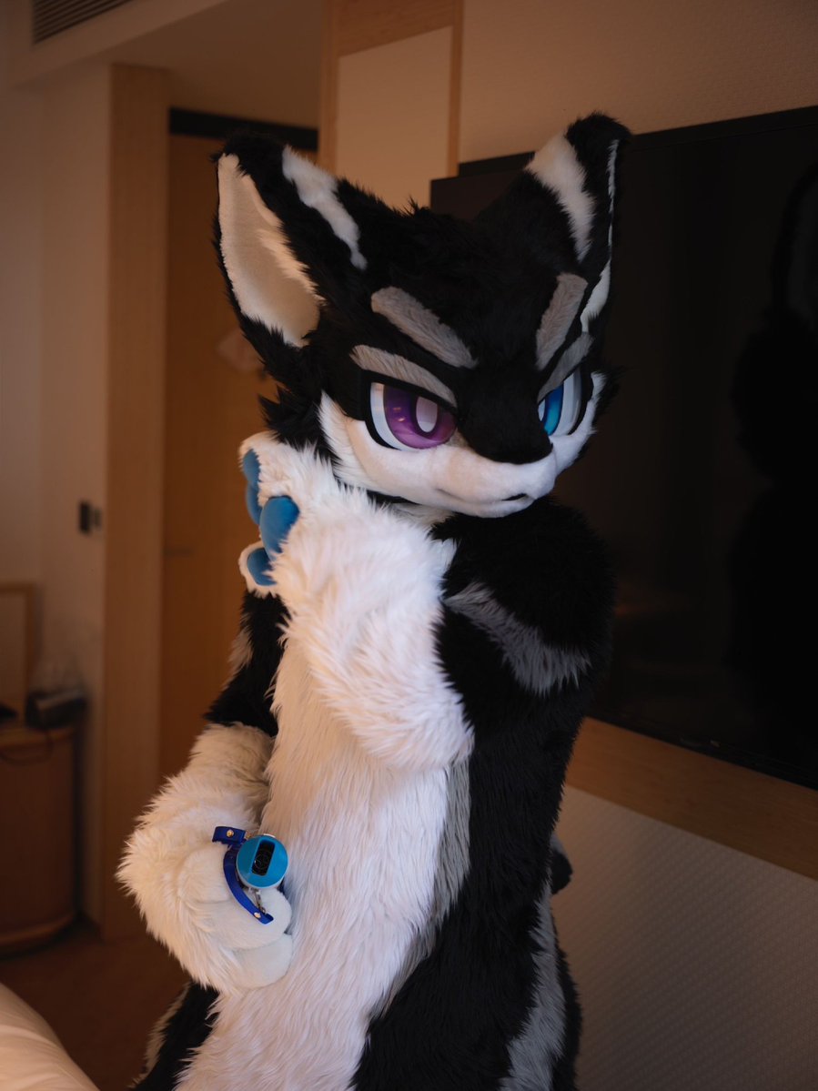 出发之前
📷：破晓 <a href="/RoaringSimba97/">破晓 Allaub</a> 
✂️：姨妈鸟 <a href="/yimaniao/">yimaniao</a> 
#FursuitFriday