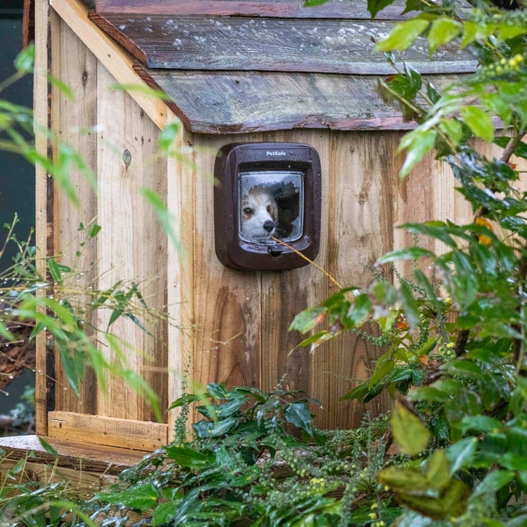 💨 We plan to open as usual tomorrow and are outside the Met Office warning for wind. Depending on local conditions it may be necessary to close certain wooded areas. It could be wet at points through the day, so if you do visit, dress for rain just in case. ☔

(📸: Doug Lodge)