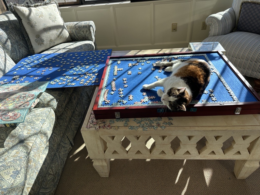 Frances, First Cat of Kansas tweet media