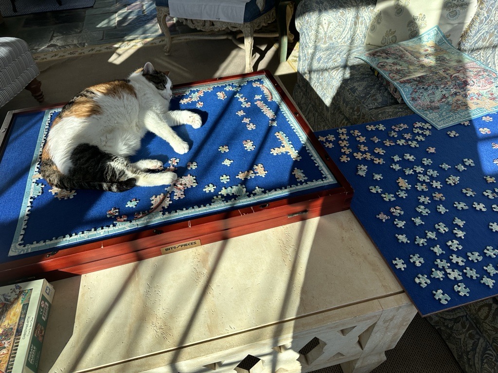I'm helping mom with this puzzle — all in a day's work.