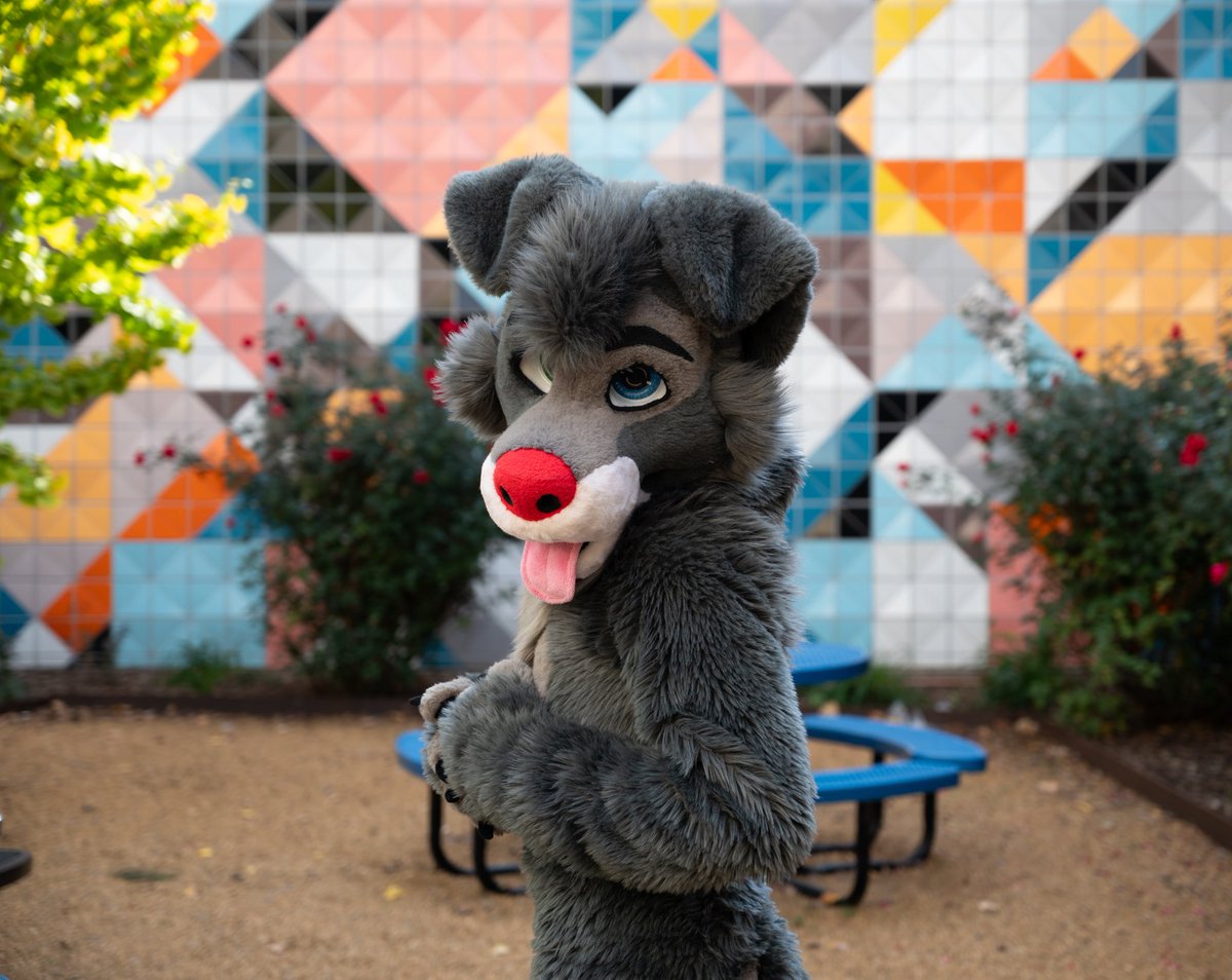 American Southwest vibes, replete with triangles

📷 <a href="/RyeTheYote/">Rye</a>
🪡 <a href="/FursuitParade/">Fursuit Parade</a> 
#FursuitFriday