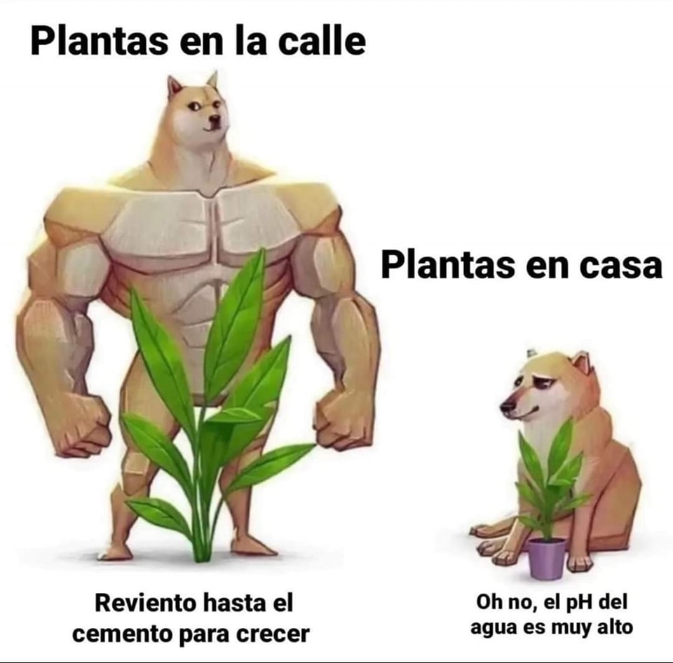 EnsedeCiencia's tweet photo. 😓 https://t.co/eCDDeLZHTo
