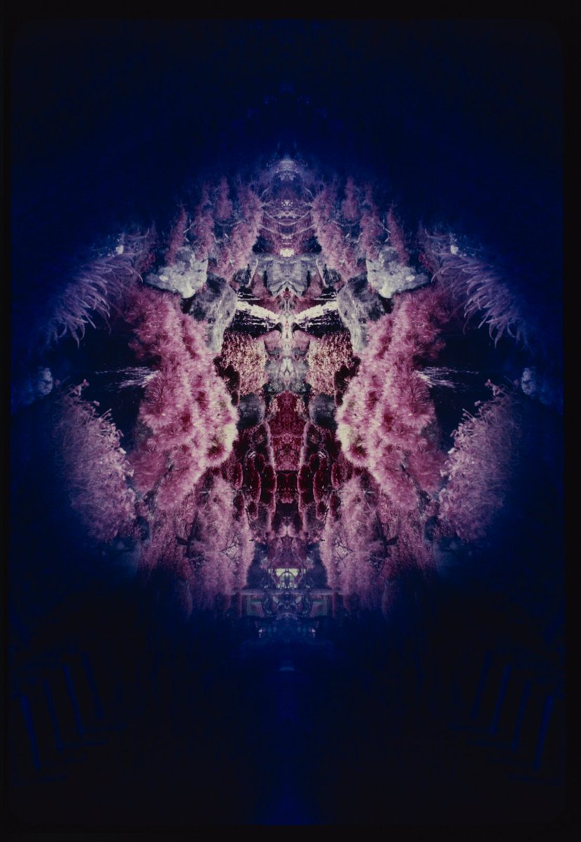 zuko.eth tweet media