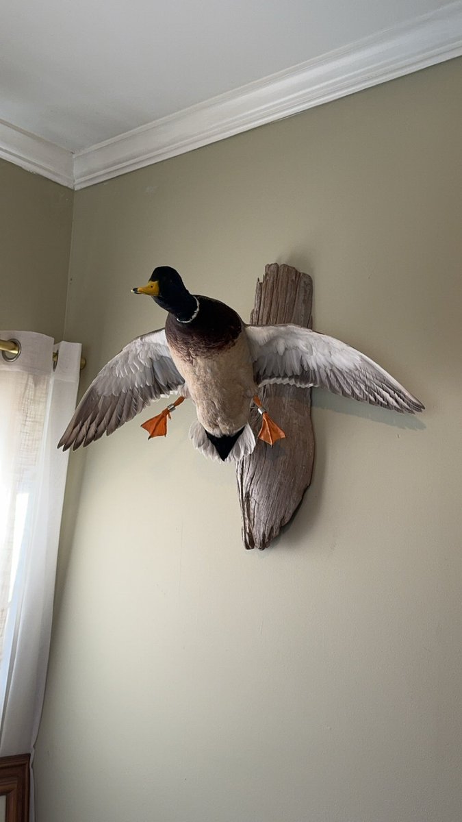 Picked up some new wall decor today