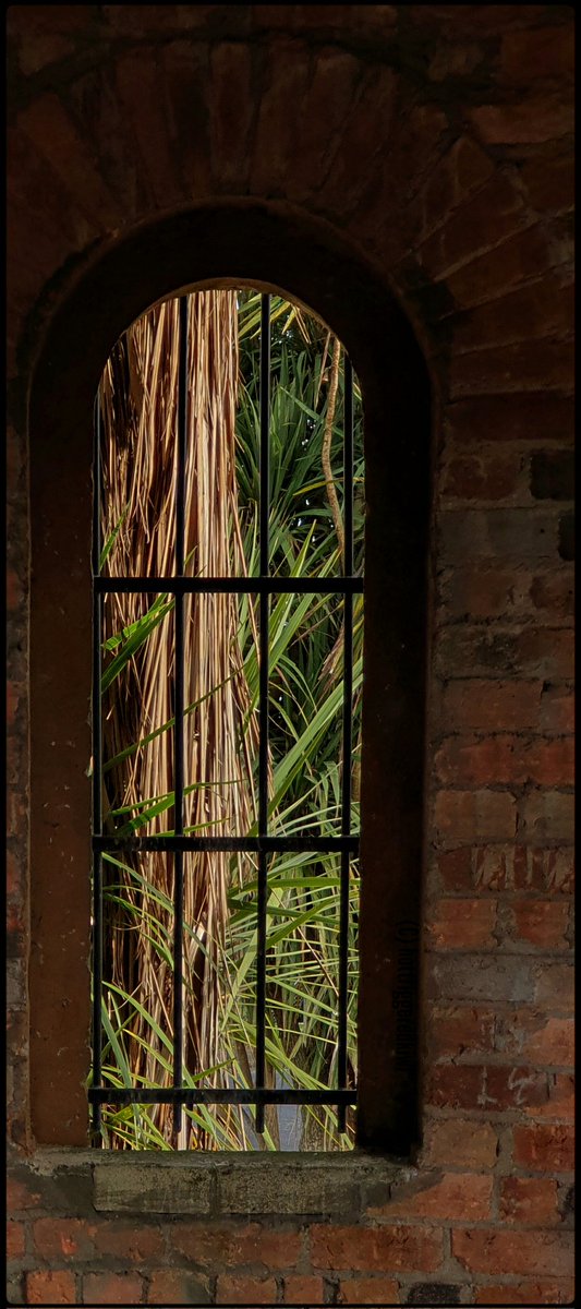 hottriggered's tweet photo. @Sam_Alexandra23 Hi Stephanie, mōrena/good morning this spring's Saturday morning.

Hoping your day shall be good for you.

 #InTheWindow -  #photography #windows https://t.co/vAJkOauoHX