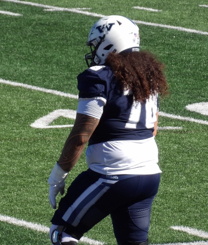 Vanessa Compagni tweet media