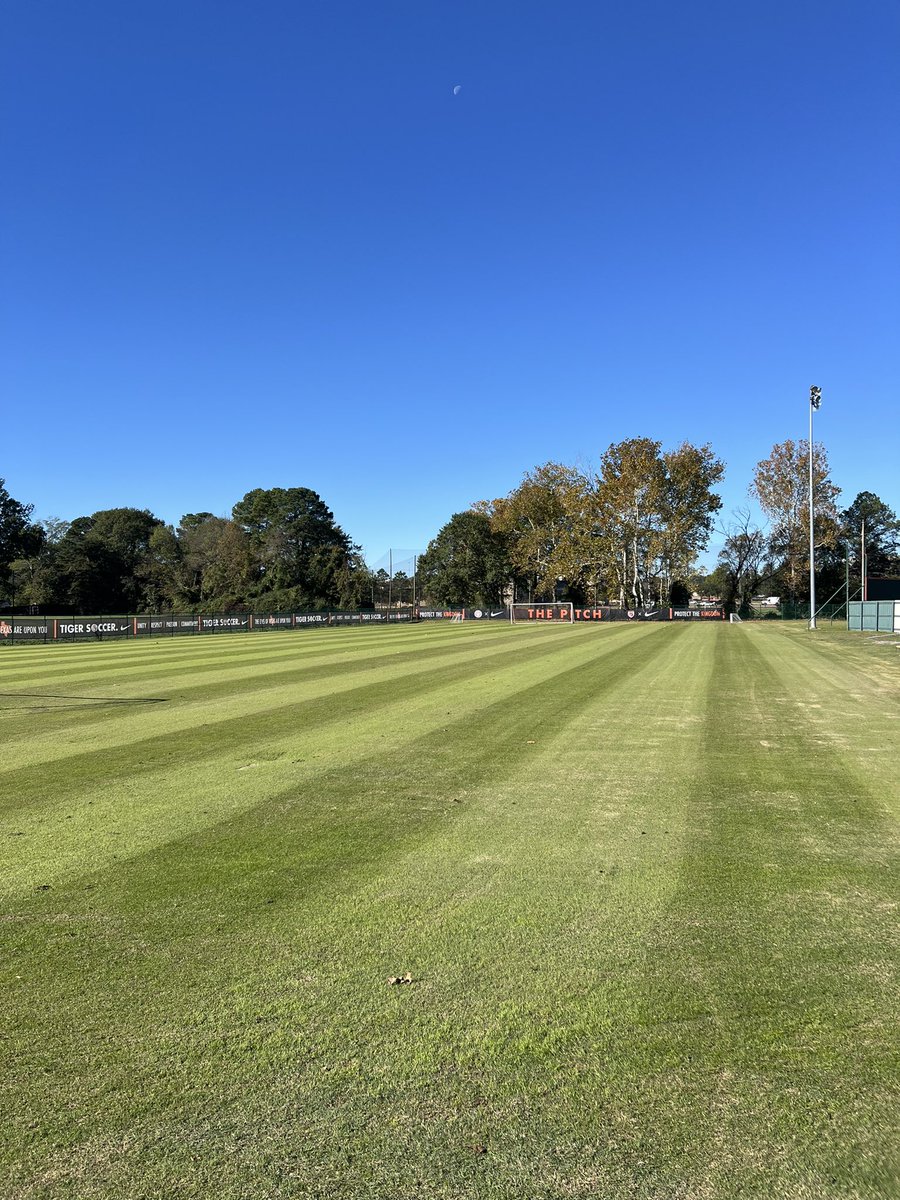 Texas High School Turf Management tweet media