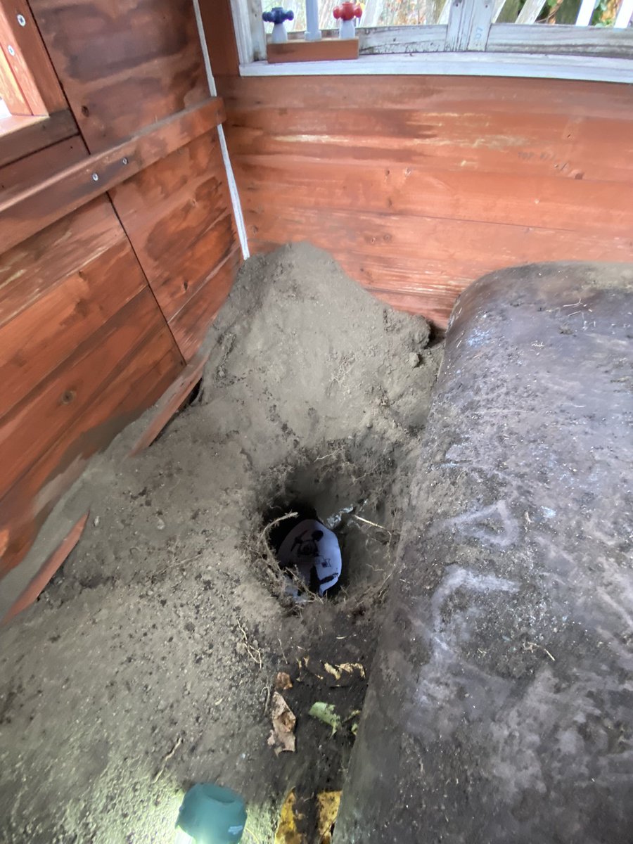 TwoShotsTrev's tweet image. Miners dig holes, it’s who we are.
(Couldn’t find my original post, here it is again)
@minersdigholes 
@justentropylol 

@rippym0de 
@dAngelFund 
@MoonTrades7